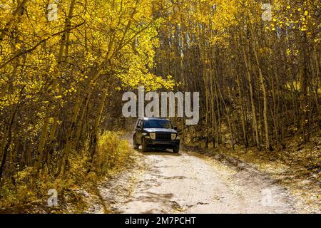 Autumn Aspen Grove - Un monospace en jeep qui roule sur une route de campagne en terre dans une bosquet de peuplier faux-tremble d'or dense pendant un après-midi d'automne ensoleillé. Leadville, Colorado, États-Unis. Banque D'Images