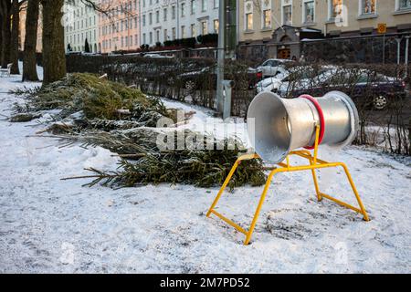 Arbres de Noël en vente dans le quartier Etu-Töölö d'Helsinki, en Finlande Banque D'Images