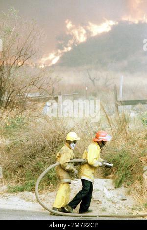 Les pompiers combattent les feux dans les terres agricoles pendant le feu de broussailles Panorama de quatre jours, qui a commencé dans les canyons au nord de la ville et a été fouetté hors de contrôle par des vents de 40-50 km/h. Base: San Bernardino État: Californie (CA) pays: États-Unis d'Amérique (USA) Banque D'Images