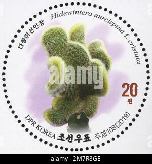 2019 série de timbres de la Corée du Nord. Cactus fleuris. Hidewintera aureispina F. cristata Banque D'Images