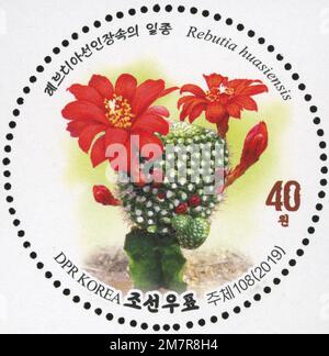 2019 série de timbres de la Corée du Nord. Cactus.Rebutia huasiensis Banque D'Images