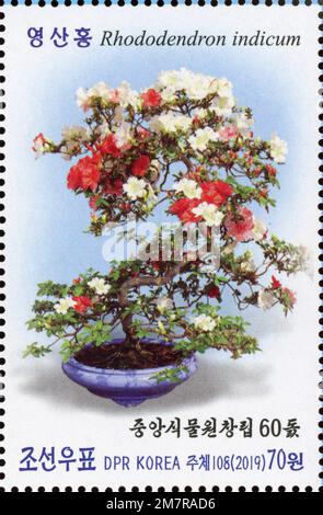 Timbre-poste nord-coréen de 2019 représentant un bonsaï Rhododendron indicum célébrant le 60ème anniversaire des jardins botaniques centraux. Banque D'Images