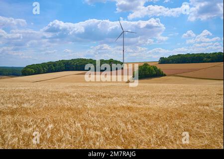 Paysage avec champ d'orge et éolienne en été, Wuerzburg, Franconie, Bavière, Allemagne Banque D'Images