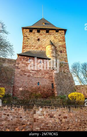 Ancienne tour résidentielle historique du château de Nideggen du 12th siècle aujourd'hui le premier musée du château en Rhénanie-du-Nord-Westphalie, en face de lui Banque D'Images