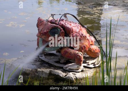 Les animaux de la place - Grenouille rouge - la Roche sur Yon, Vendée, France Banque D'Images