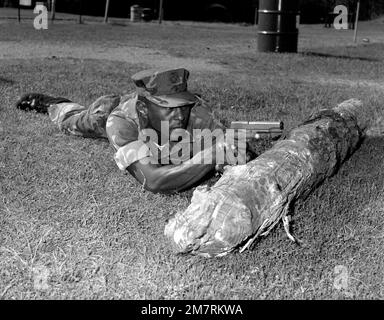 SGT. M. W. Patrick, un policier militaire, est en position ventrale et utilise une bûche d'arbre mort pour la protection contre un incendie hostile éventuel. Il utilise le pistolet de calibre .45 de Colt lors du cours de protection de la police, qui fait partie d'un programme de formation de 200 heures pour la police militaire de la base. Base: Albany État: Géorgie (GA) pays: États-Unis d'Amérique (USA) Banque D'Images