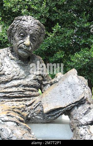 Albert Einstein Memorial Statue National Academy of Sciences Washington DC Banque D'Images