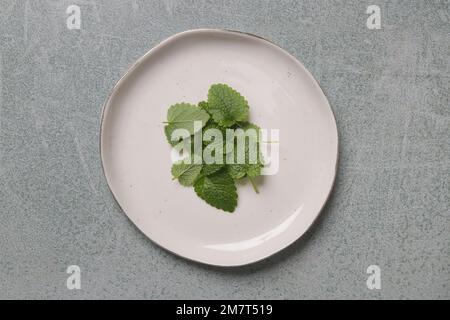 Feuilles de baume de citron fraîchement récoltées sur une assiette en porcelaine blanche. Banque D'Images