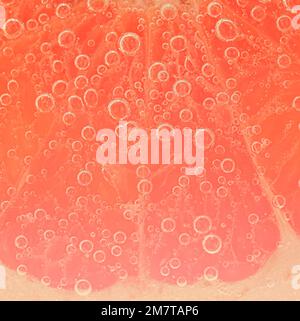 Gros plan d'une tranche de pamplemousse dans un liquide contenant des bulles. Tranche de pamplemousse rouge mûr dans l'eau. Gros plan d'une tranche de pamplemousse frais recouverte de bulles. Banque D'Images