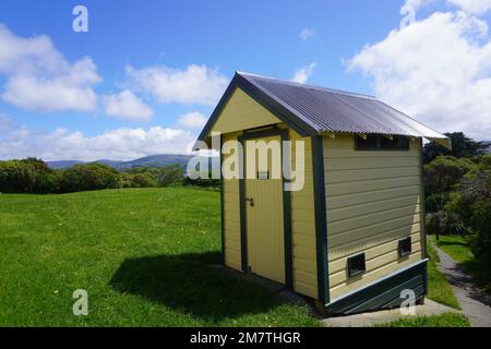 Viande sûre dans un endroit idyllique sur l'île Matiu Somes dans le port de Wellington Banque D'Images