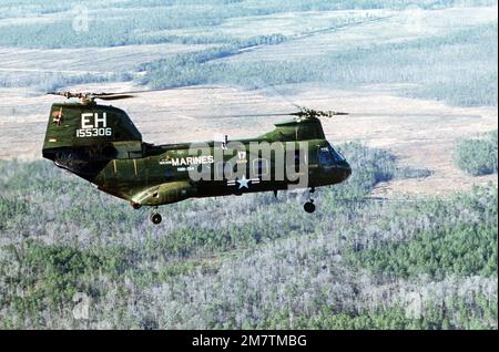 Vue aérienne à droite d'un hélicoptère marin CH-46E Sea Knight du Marine Medium Helicopter Squadron 264 (HMM-264). Base: MCAS, New River État: Caroline du Nord (NC) pays: Etats-Unis d'Amérique (USA) Banque D'Images