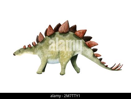 Aquarelle hervivore dinosaure stegosaurus en rouge et vert. Illustration dessinée à la main de la période jurassique isolée sur fond blanc Banque D'Images