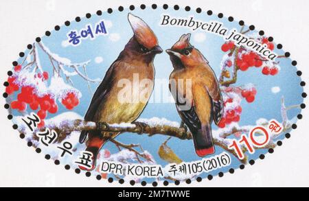 Timbre-poste ovale nord-coréen de 2016 représentant une paire de waxwings japonica japonica japonaise (Bombycilla japonica) sur une branche enneigée avec des baies rouges. Banque D'Images