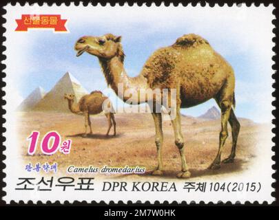 Timbre-poste nord-coréen de 2015 représentant un dromadaire (Camelus dromedarius) d'une série d'animaux cadeaux, avec des pyramides dans le fond. Banque D'Images