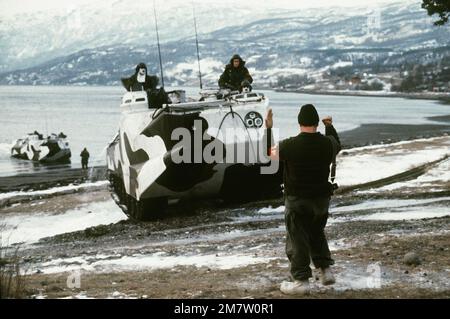 A ÉTATS-UNIS Marine dirige un véhicule de commande à chenilles LVTC-7 sur la plage pendant l'exercice Alloy Express. Les Marines font partie de l'unité amphibie marine de 36th. Objet opération/série: ALLOY EXPRESS base: Rombakksfjorden pays: Norvège (NOR) Banque D'Images