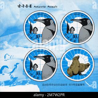 Bloc-feuillet Corée du Nord de 2013 représentant des timbres circulaires d'animaux de l'Antarctique, y compris des manchots royaux et des lions de mer sur un fond glacé. Banque D'Images