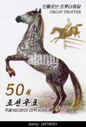 2013 jeu de timbres de la Corée du Nord. Chevaux, Orlov Trotter Banque D'Images