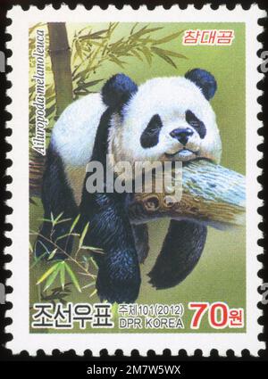 Timbre-poste nord-coréen de 2012 représentant un panda géant (Ailuropoda melanoleuca) reposant sur une branche d'arbre, valeur nominale de 70 won. Banque D'Images