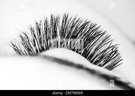 Superbe photo macro de l'œil féminin avec des cils extrêmement longs. Prise de vue en noir et blanc. Banque D'Images