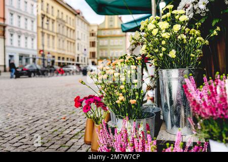 Planque de fleurs sur la place Plac Solny près de la place centrale du marché à Wroclaw Banque D'Images