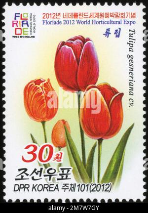 Timbre-poste nord-coréen de 2012 représentant des tulipes rouges pour l'exposition horticole mondiale Floriade 2012 à Venlo, pays-Bas. Banque D'Images
