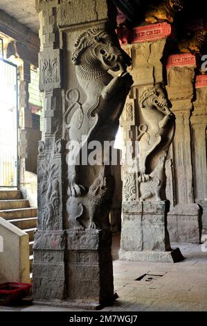 Créature mythique Yalli sculptée sur les piliers du Temple Meenakshi État de Madurai Tamil Nadu Inde Banque D'Images