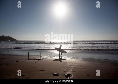 Les surfeurs se promène le long de la plage après un moment amusant dans l'eau. L'image est rétro-éclairée et présente le sujet en silhouette. Banque D'Images