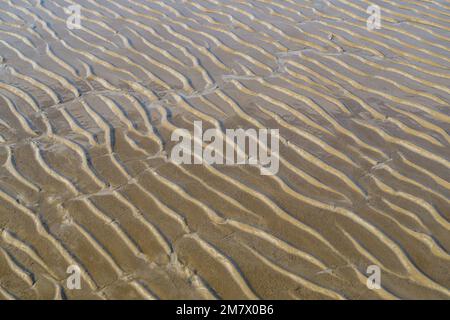 Sable ondulé sur la plage de la mer du Nord Banque D'Images