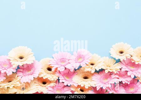 Bordure de gerberas rose et jaune sur fond bleu clair. Fête des mères, jour de la Saint-Valentin, concept d'anniversaire. Vue de dessus, espace de copie pour le texte Banque D'Images