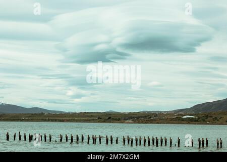 Les restes d'un ancien quai, maintenant un lieu de repos pour les oiseaux de mer. Puerto Natales, Patagonie chilienne. Banque D'Images