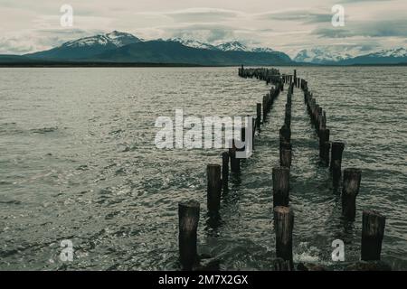 Les restes d'un ancien quai, maintenant un lieu de repos pour les oiseaux de mer. Puerto Natales, Patagonie chilienne. Banque D'Images