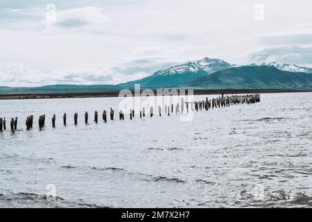 Les restes d'un ancien quai, maintenant un lieu de repos pour les oiseaux de mer. Puerto Natales, Patagonie chilienne. Banque D'Images