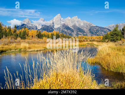 Lever du soleil tôt le matin à Schwabacher Landing avec la chaîne de montagnes de Grand Teton en automne, parc national de Grand Teton Wyoming, Amérique du Nord, États-Unis Banque D'Images