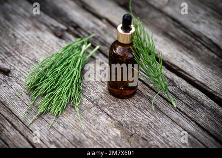 Plante d'herbe médicinale commune d'Horsetail avec extrait d'huile essentielle distillée et perfusion dans une carafe en verre. Également Equisetum arvense sur un vintage en bois Banque D'Images