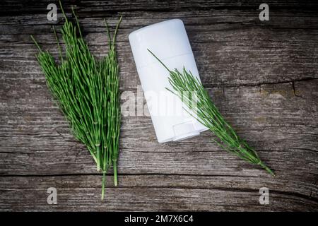 Plante d'herbe médicinale commune Horsetail avec extrait d'huile essentielle distillée et Infusion dans un récipient blanc avec déodorant solide. Equisetum arvense on Banque D'Images