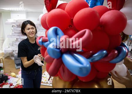 (230111) -- KUALA LUMPUR, le 11 janvier 2023 (Xinhua) -- Syndy Tan Sing Yit polit une sculpture en ballon de danse du lion dans son atelier près de Kuala Lumpur, en Malaisie, le 11 janvier 2023. Syndy Tan Sing Yit est un styliste malaisien de ballons qui travaille sur la modélisation de ballons depuis plus d'une décennie. Elle a créé des sculptures de ballons de danse de lion en se référant à des graphiques et des images de danse de lion. Selon Tan, faire une sculpture de ballon de danse de lion a besoin de plus de 500 ballons, pendant lesquels il est important d'ajuster la couleur des yeux et la proportion des lèvres et le menton afin de mettre en évidence le charme de l Banque D'Images