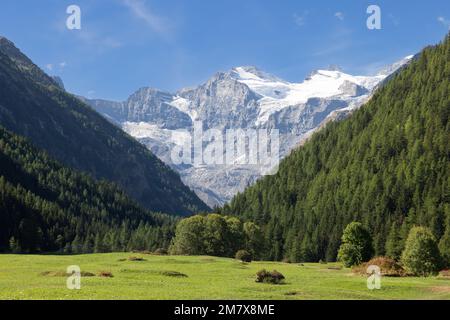 Vue sur la prairie de Saint Orso et les pentes de gorges abruptes avec forêt de pins à feuilles persistantes, falaises alpines en granit imprégnables avec pics enneigés. Cogne, Italie Banque D'Images