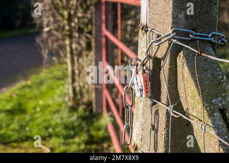 Cadenas à combinaison bloquant une chaîne sur une porte de ferme, County Down, Irlande du Nord, Royaume-Uni, Royaume-Uni Banque D'Images