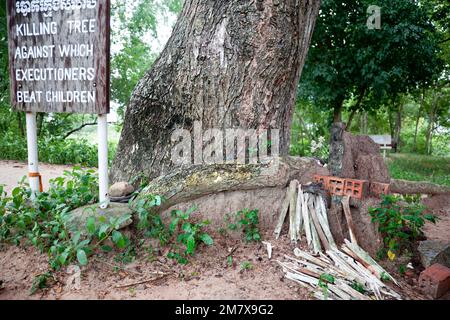 arbre de destruction contre lequel les bourreaux battent les enfants Banque D'Images