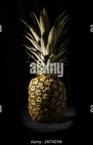 Isolé près d'un ananas mûr, ananas comosus fruit, sur fond noir, Bruxelles, Belgique Banque D'Images