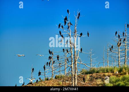 Baie Barguzinsky du lac Baikal dans la République de Buryat en journée avec un soleil clair Banque D'Images