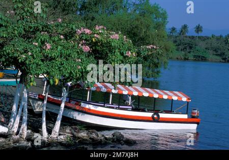 Mexique, Côte du Golfe, Vera Cruz, Lago de Catemaco, Banque D'Images