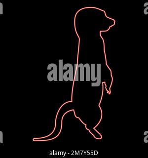 Néons meerkat dans la pose Suricata suricata rouge couleur vecteur illustration image plat style lumière Illustration de Vecteur