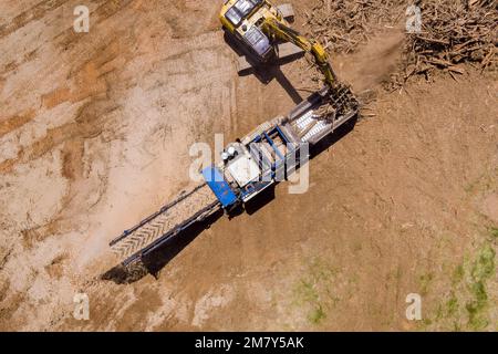 Afin de préparer le terrain pour le développement de logements, une grande machine de déchiquetage industriel travaillera pour déchiqueter les racines en éclats Banque D'Images