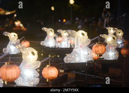 HANGZHOU, CHINE - LE 11 JANVIER 2023 - Un grand nombre de citoyens et de touristes ont regardé et photographié des bateaux rasés à la main équipés d'un pantalon de lapin jade Banque D'Images