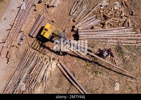 À l'aide d'une grue, charger les grumes d'un arbre nouvellement abattu sur un gros camion pour le transport Banque D'Images