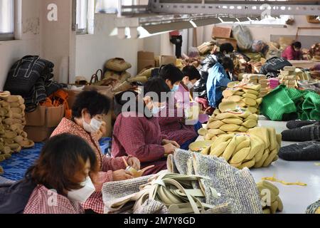 Pingdu, province chinoise de Shandong. 10th janvier 2023. Les employés traitent le tissage de paille dans une usine d'artisanat de Pingdu, dans la province de Shandong, dans l'est de la Chine, le 10 janvier 2023. Le tissage de paille de Xinhe, un patrimoine culturel intangible de la province de Shandong, a une histoire de plus de 300 ans. Jusqu'à présent, plus de 80 entreprises de tissage de paille ont été créées à Xinhe Town, offrant des opportunités d'emploi à plus de 20 000 personnes. Credit: Li Ziheng/Xinhua/Alay Live News Banque D'Images