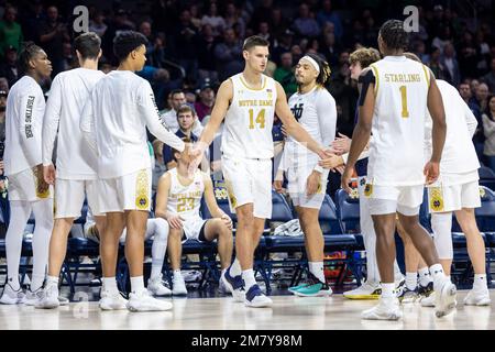 10 janvier 2023: Notre Dame avance Nate Laszewski (14) lors de l'introduction du joueur de l'action de basket-ball NCAA entre les Jackets jaunes de la technique de Géorgie et la notre Dame combat l'irlandais au Pavillon Purcell au Centre Joyce à South Bend, Indiana. Notre Dame a battu Georgia Tech 73-72 en heures supplémentaires. John Mersiits/CSM. Banque D'Images