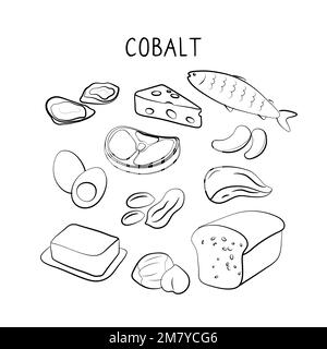 Aliments contenant du cobalt. Groupes de produits sains contenant des vitamines et des minéraux. Ensemble de fruits, légumes, viandes, poissons et produits laitiers Illustration de Vecteur