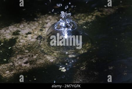 Une eau de pluie tombe sur le sol, créant des répétitions circulaires Banque D'Images